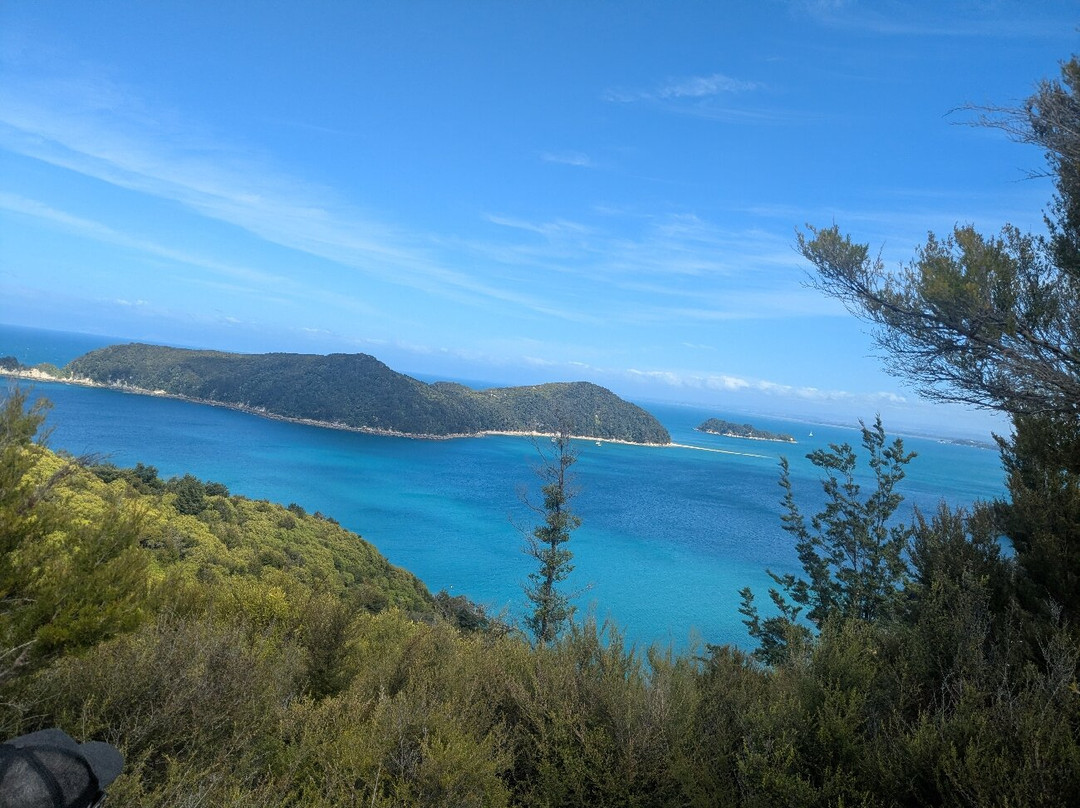 Abel Tasman Sea Shuttle Ltd-莫图伊卡必去景点