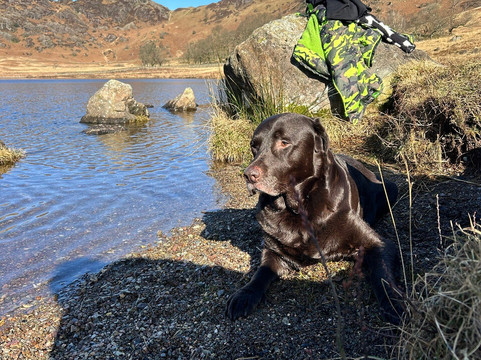Blea Tarn-Little Langdale必去景点