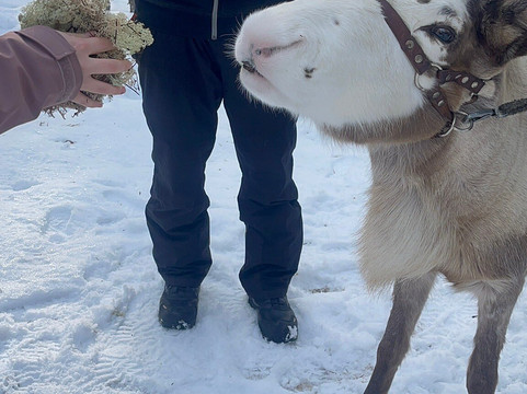 Idre Fjallens Snoskoteruthyrning-Idre必去景点