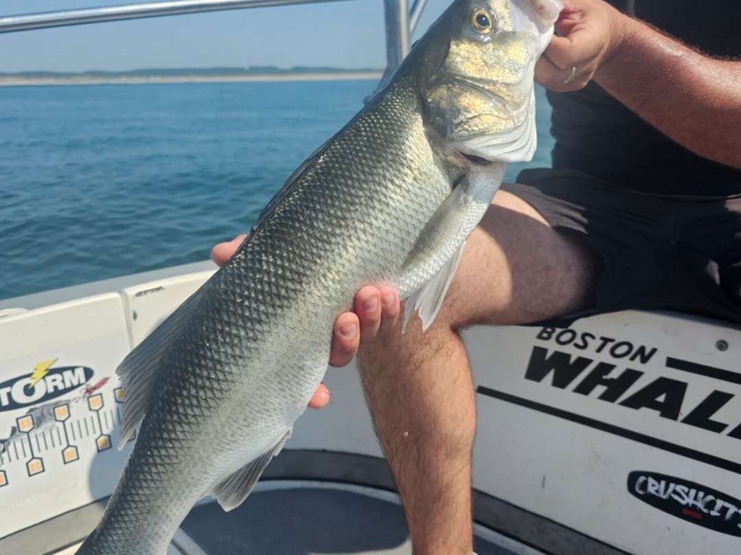 Aquitaine Peches Sportives-Lanton必去景点