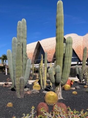 H10普拉亚梅洛内拉斯地平线精选酒店-浴室