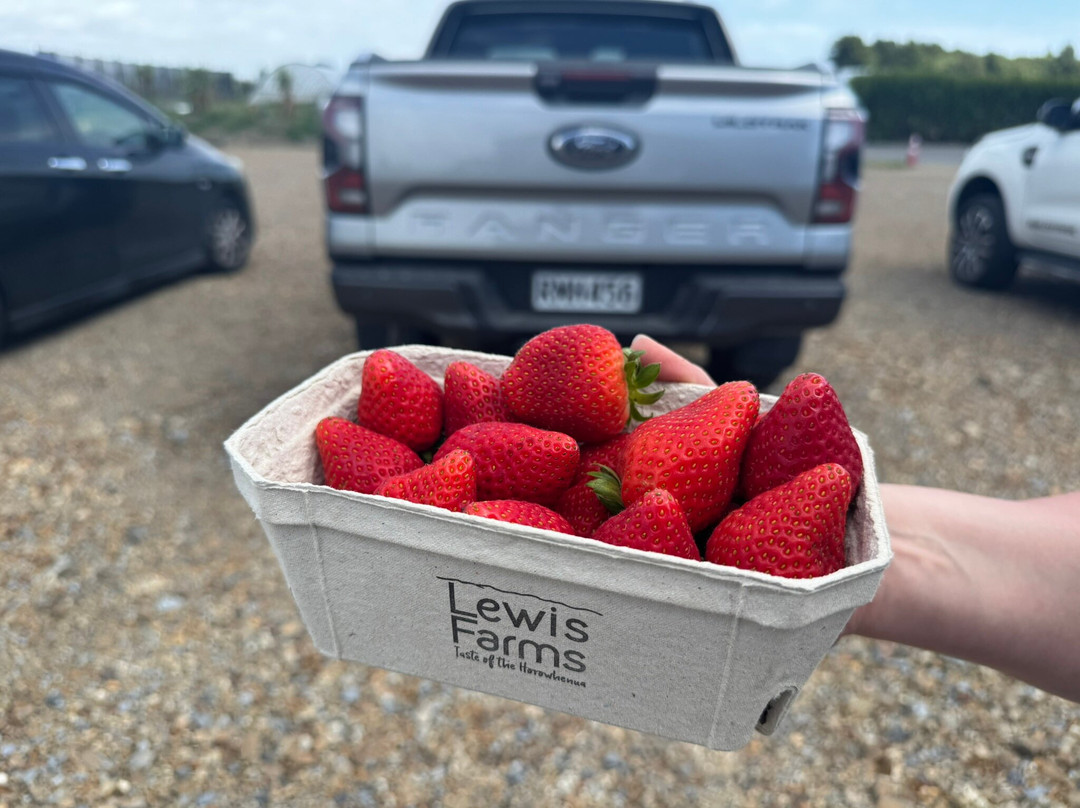 Lewis Farms-Levin必去景点