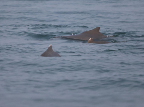 Terra Conscious-巴德士必去景点