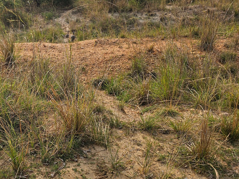 Wild Whispers Africa-马辛迪必去景点