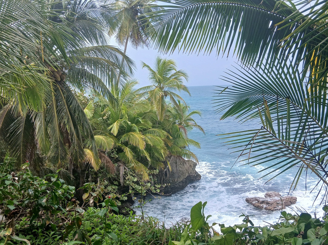 Il Ponticello Trekking Viaggi & Natura-佩萨罗必去景点