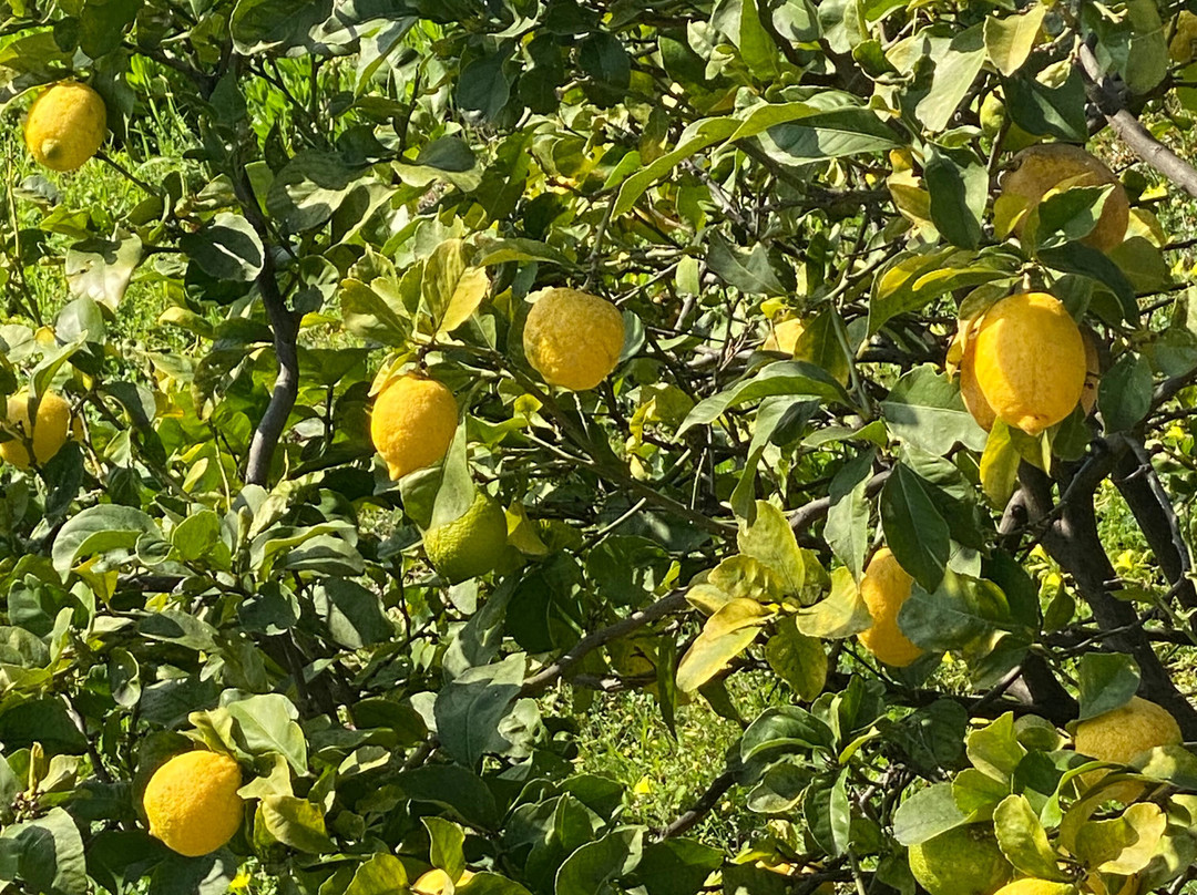 Sentiero Vernazza a Corniglia-韦尔纳扎必去景点