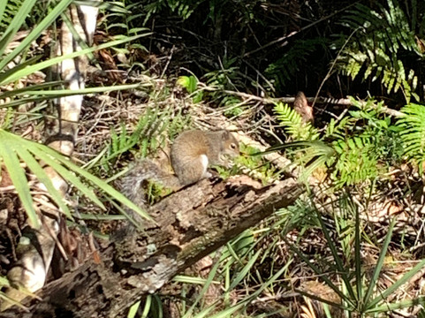 Grassy Waters Nature Preserve-西棕榈滩必去景点