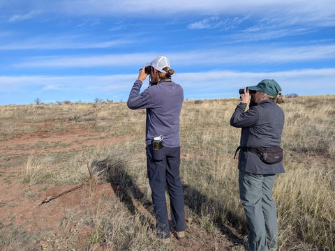 American Birding Guides-Patagonia必去景点