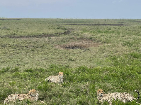 Time For African Adventures-阿鲁沙必去景点