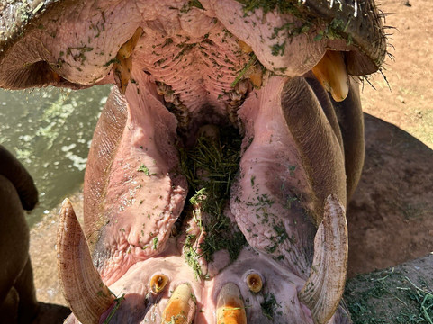 Pai Pai Ecotourism Park-恩塞纳达必去景点