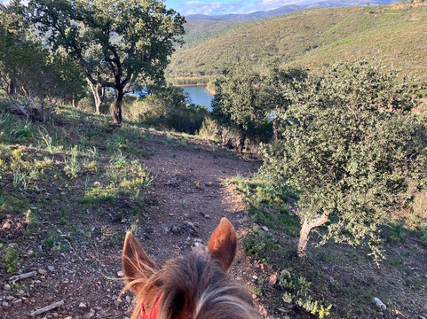 Aventure cheval. Randonnées à cheval-La Crau必去景点