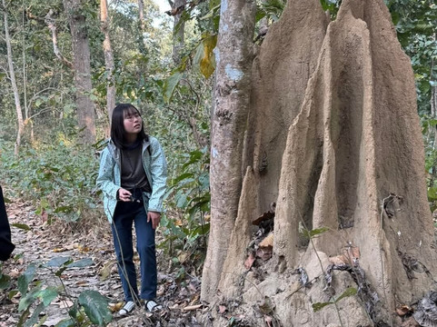 Jungle Expert Treks and Tours-Ratnanagar必去景点