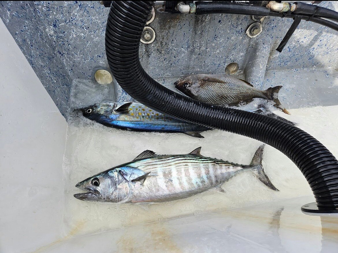 Estefanys Tours-Mismaloya必去景点