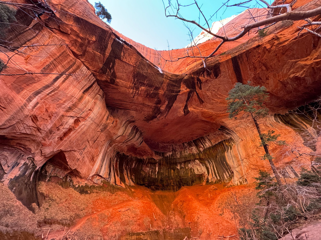 Kolob Canyons-锡安国家公园必去景点