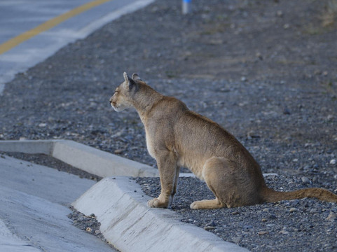 Iso100 Outdoor-Torres del Paine必去景点