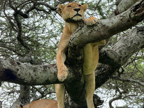 Tanzania Roadside Expeditions-阿鲁沙必去景点