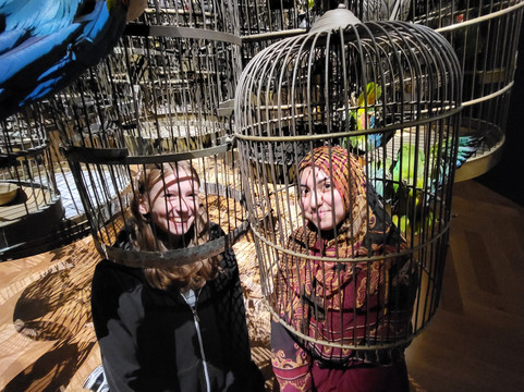 Art Zoo Museum-阿姆斯特丹必去景点