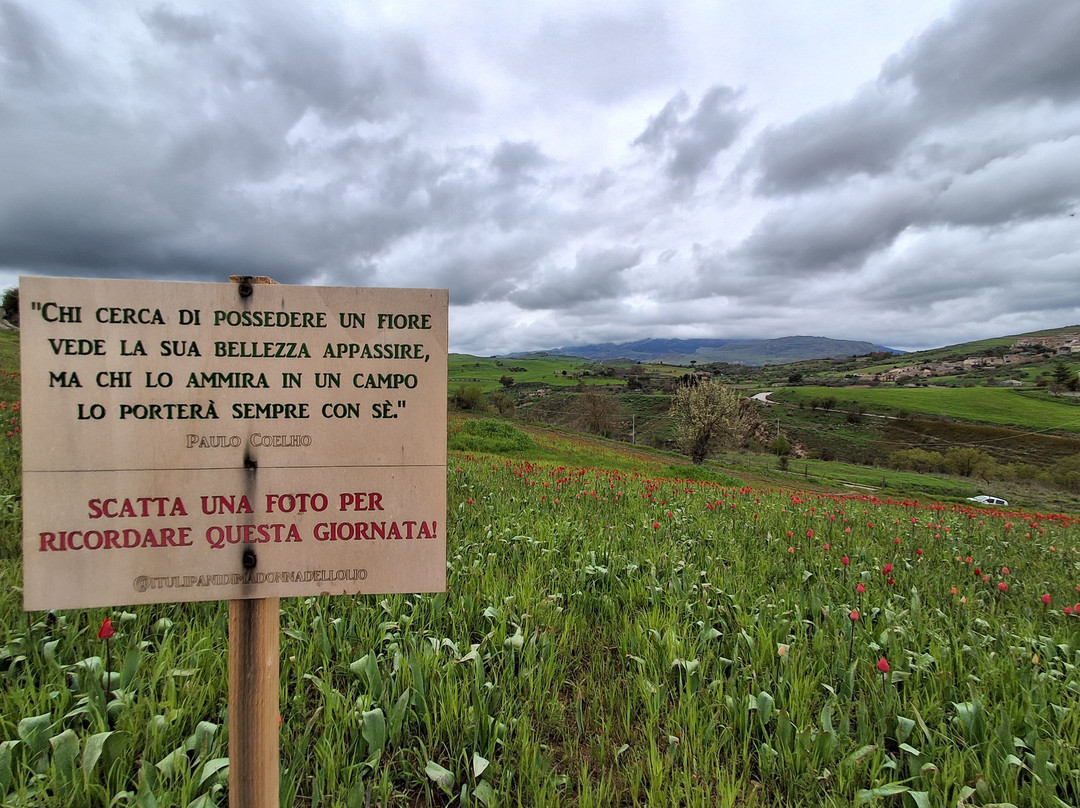 Santuario Madonna dell'Olio-Blufi必去景点