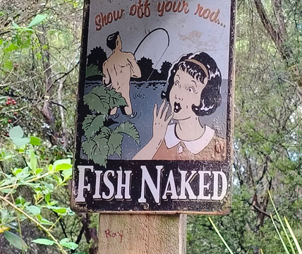 Awakeri Rail Adventures-法卡塔尼必去景点