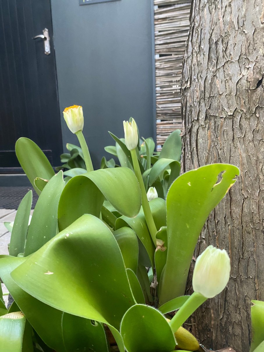 里耶捷波住宿加早餐酒店-官方