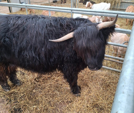 Monk Park Farm-Bagby必去景点