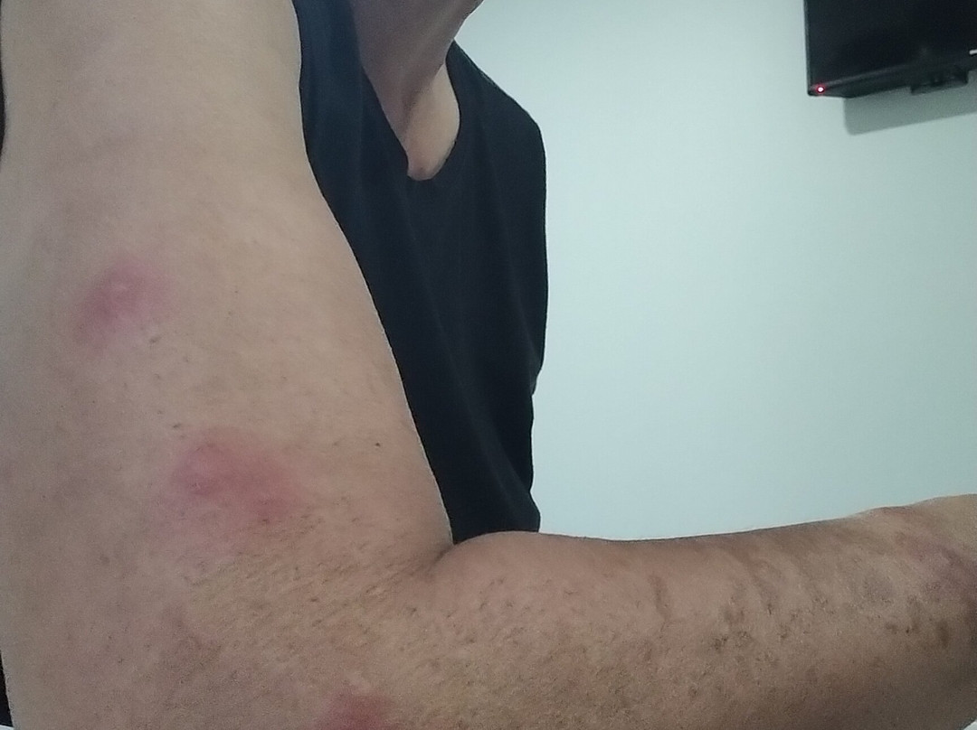 哥斯达黎加米兰酒店主图