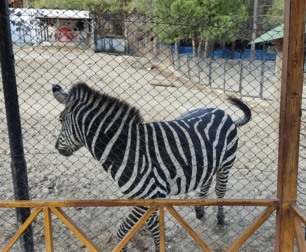 Tarsus Hayvan Parkı-Tarsus必去景点