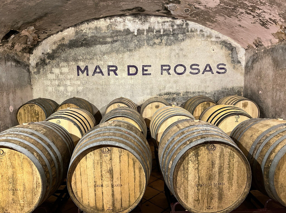 Casal Sta. Maria-科拉雷斯必去景点