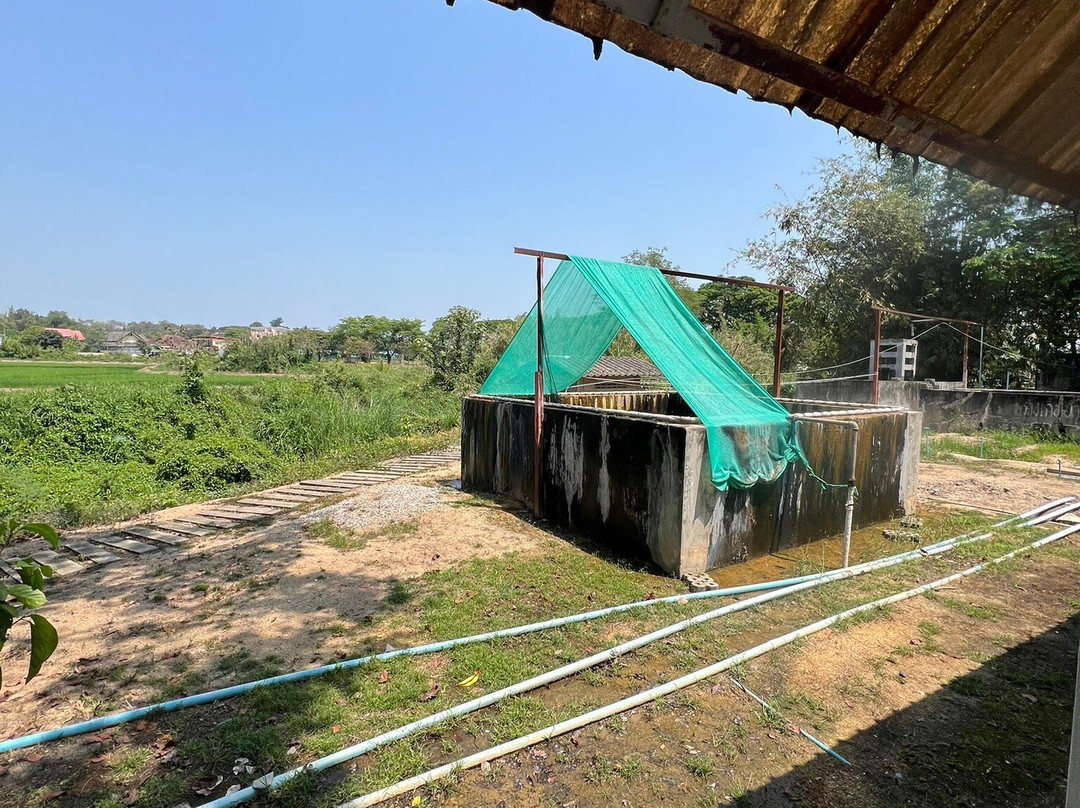 Pong Phra Bat Hot spring-清莱必去景点