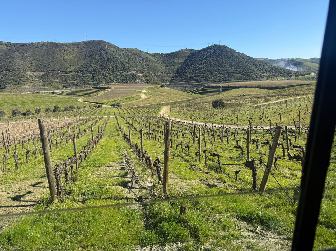 Quinta do Vale Meao-Vila Nova de Foz Coa必去景点