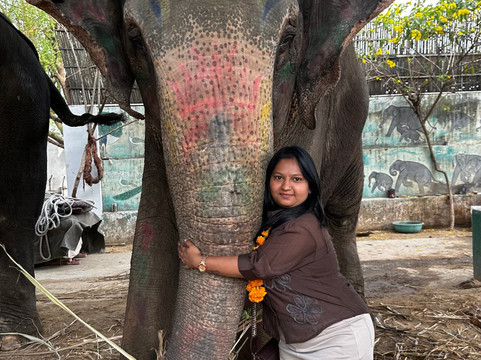 EleJungle-Amer必去景点