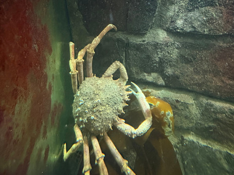 Ilfracombe Aquarium-伊尔弗勒科姆必去景点