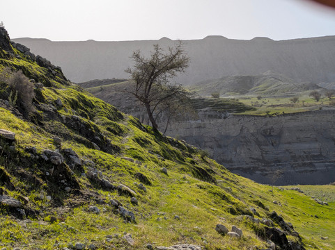 Bahman iran Nomad tour-Shiraz必去景点
