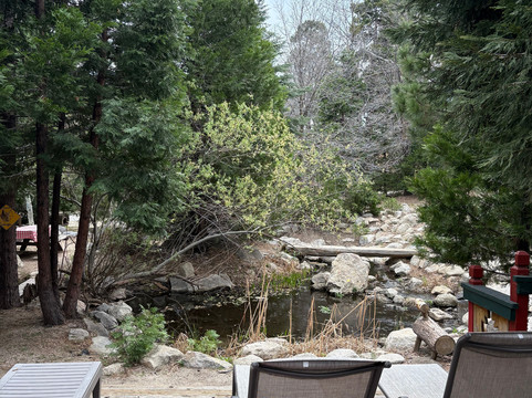 箭头松玫瑰小木屋主图