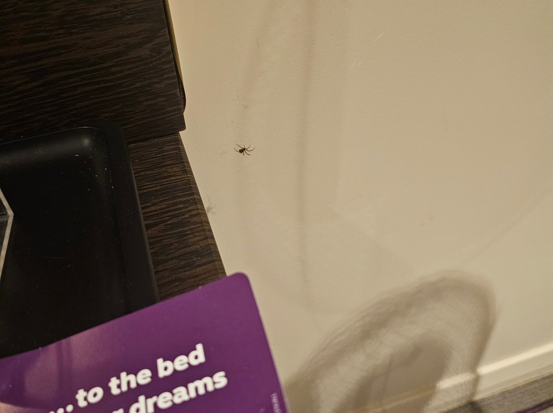 莱姆纽卡斯尔普瑞米尔酒店主图