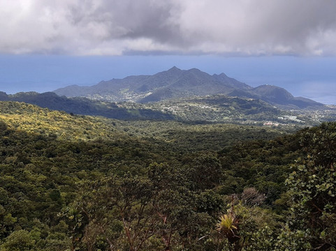 Symbiose Caraibes-Saint-Claude必去景点