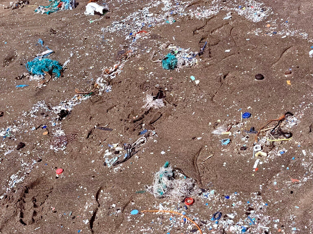 Playa De La Pared-La Pared必去景点