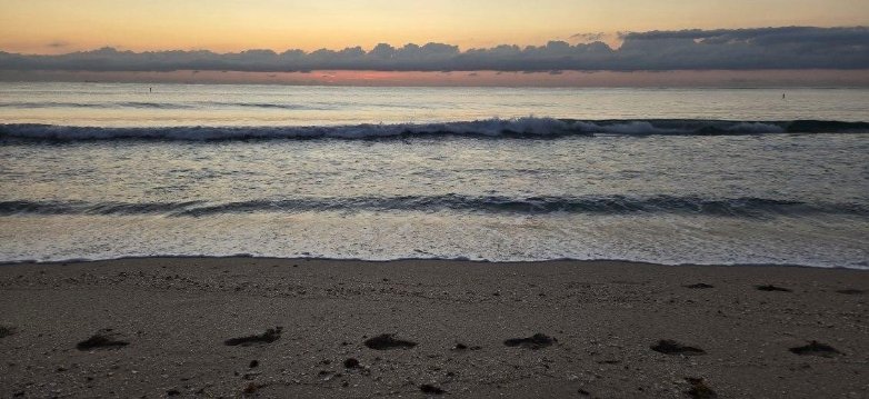 普伦吉海滩度假村-官方