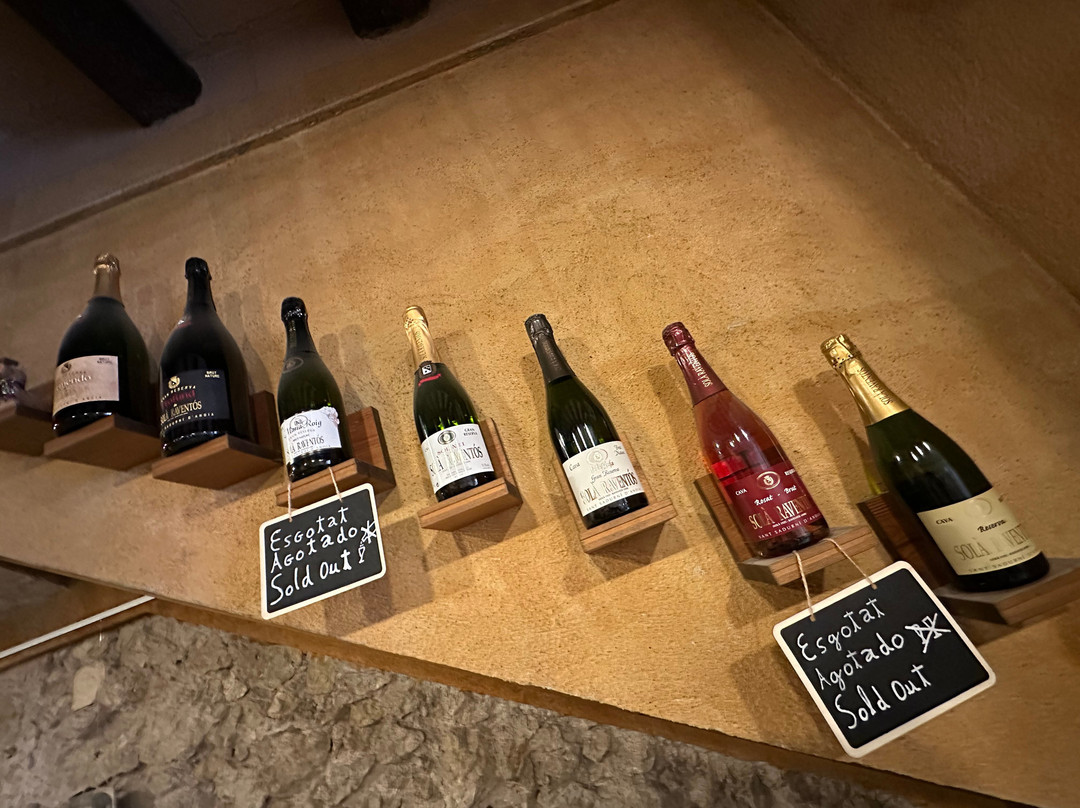 Cava Sola Raventos-桑特萨杜尔尼达诺亚必去景点