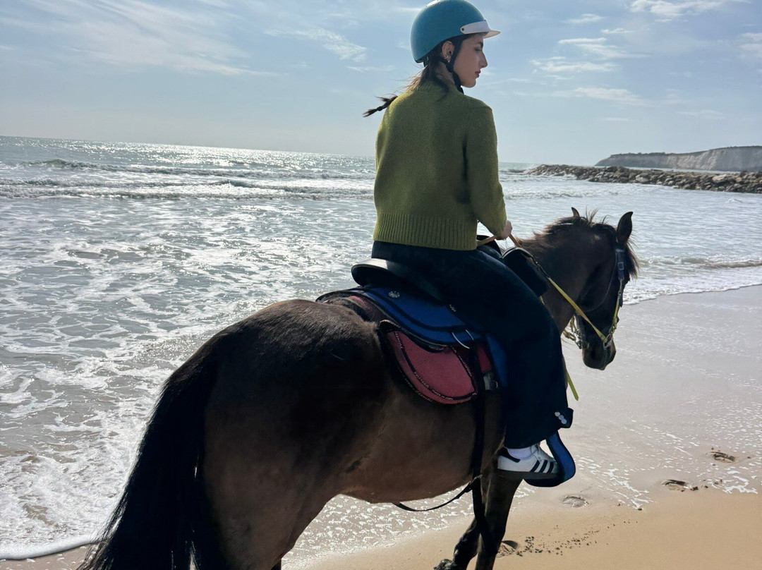 L'operammare-Montallegro必去景点