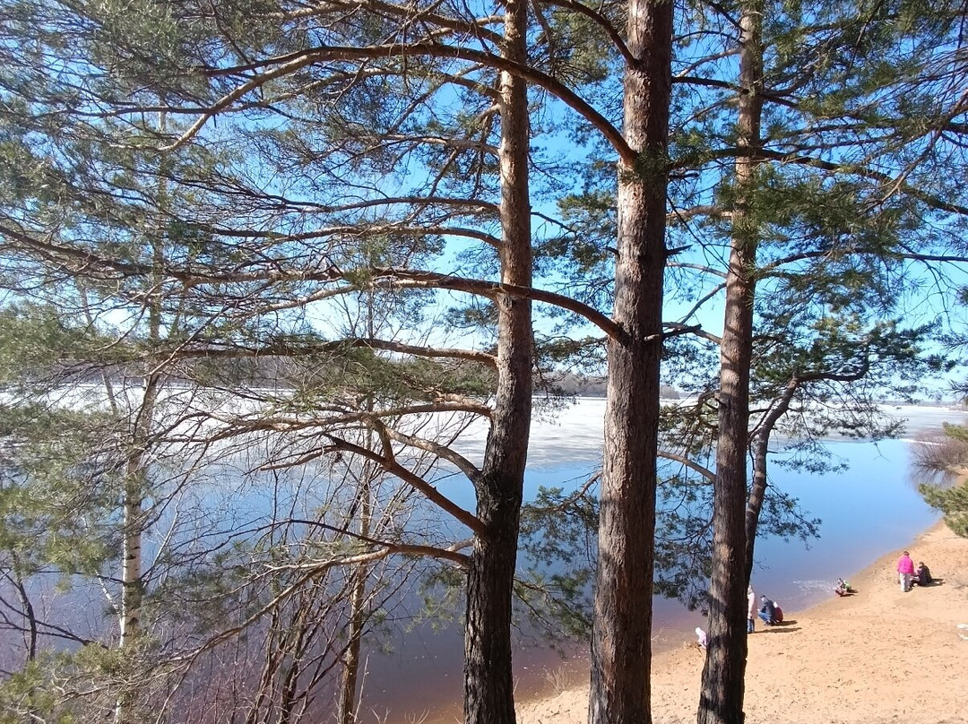 Park Mokhovyye gory-Bor必去景点