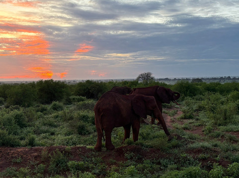 Watamu Diego Safari Day Tours-瓦塔木必去景点