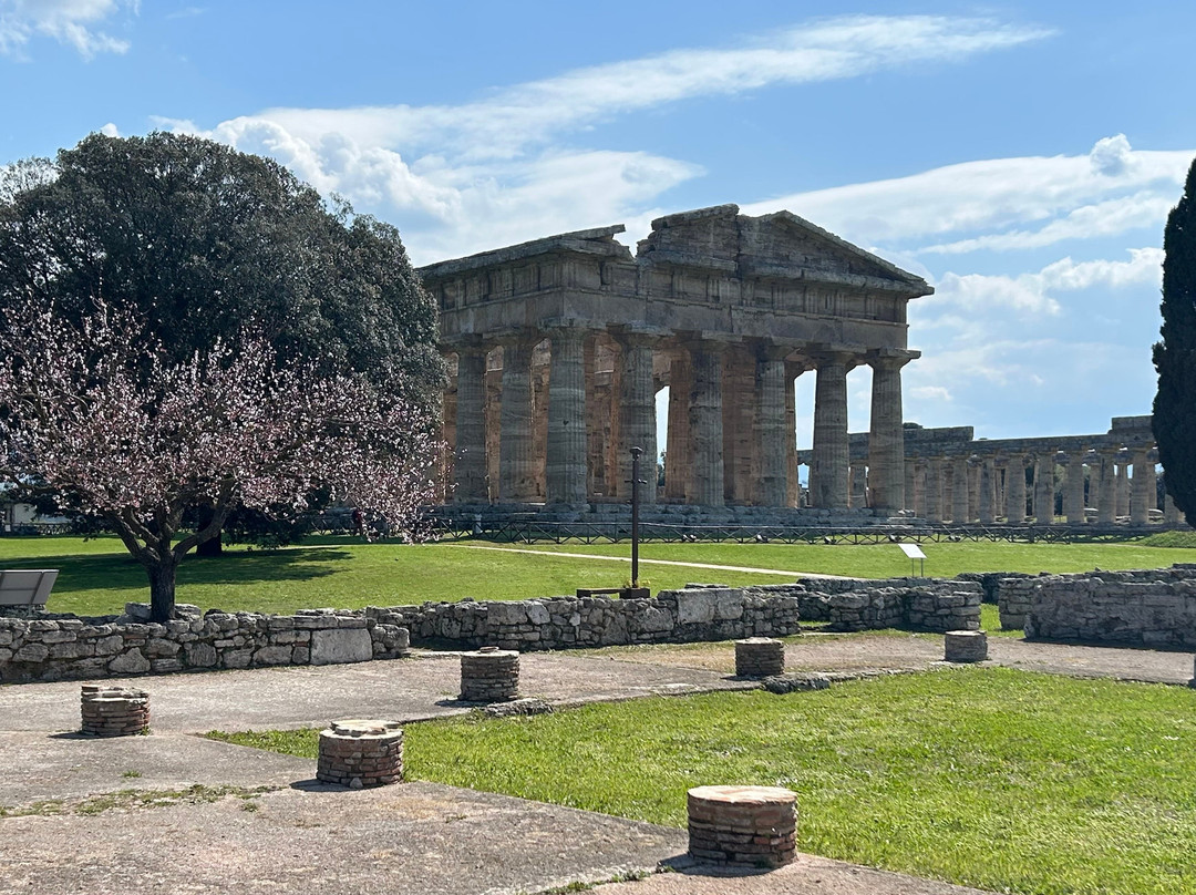 Parco Archeologico di Paestum e Velia-Paestum必去景点