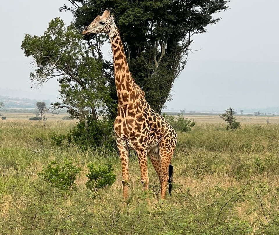 Explore RwandaTours-吉佳利必去景点