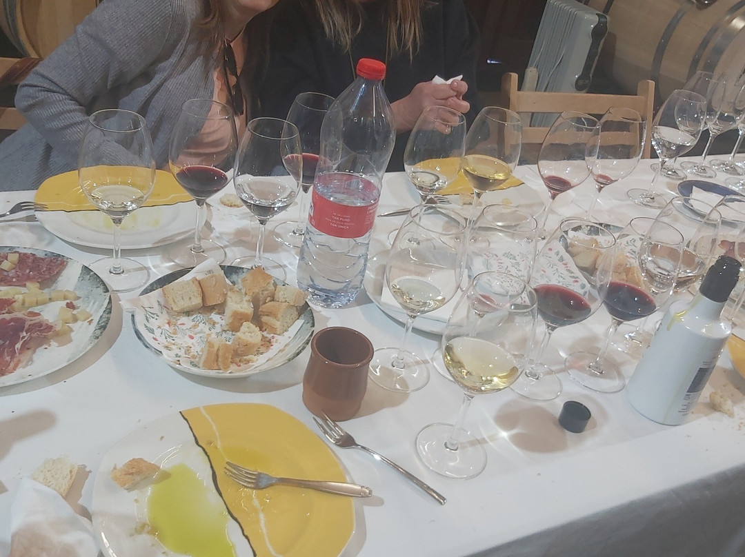 Viñedos & Bodega Marcelino Serrano-Alcala la Real必去景点