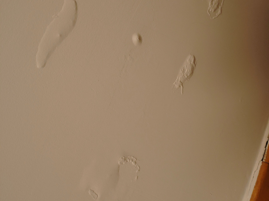 丹普雷斯提齐酒店主图