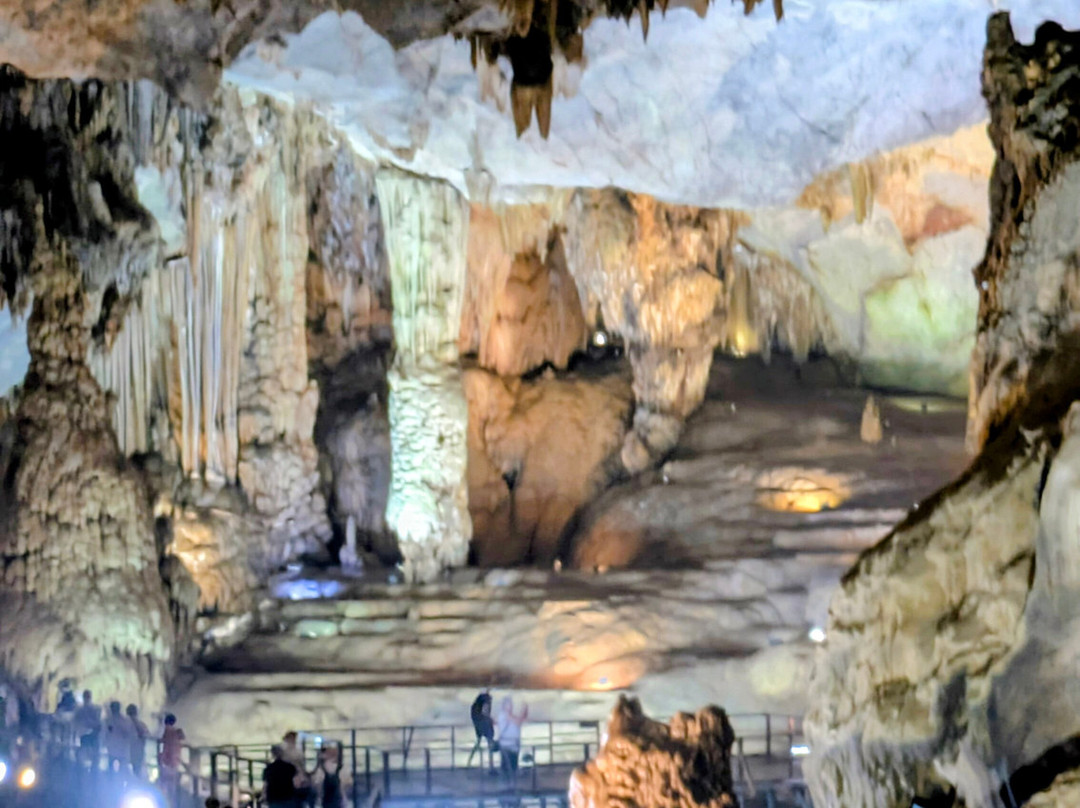 Phongnha Discovery-洞海必去景点