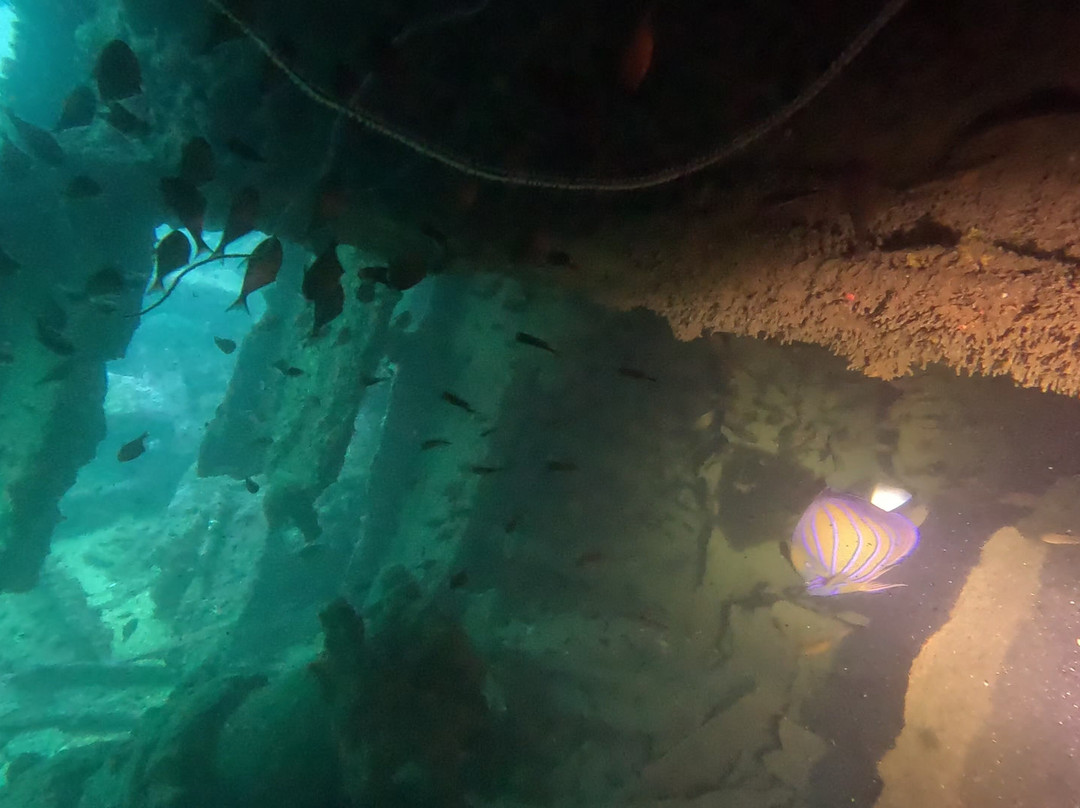 International Diving School-希克杜沃必去景点