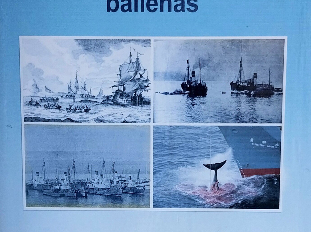 Ballenera Quintay-Quintay必去景点