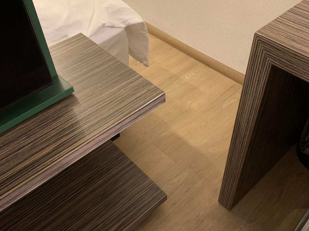 阿姆斯特丹扎安戴姆英特尔酒店主图